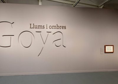 GOYA: LLUMS I OMBRES